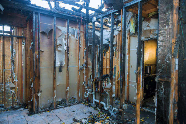 Professional Fire Damage Removal technician working in McCleary, WA